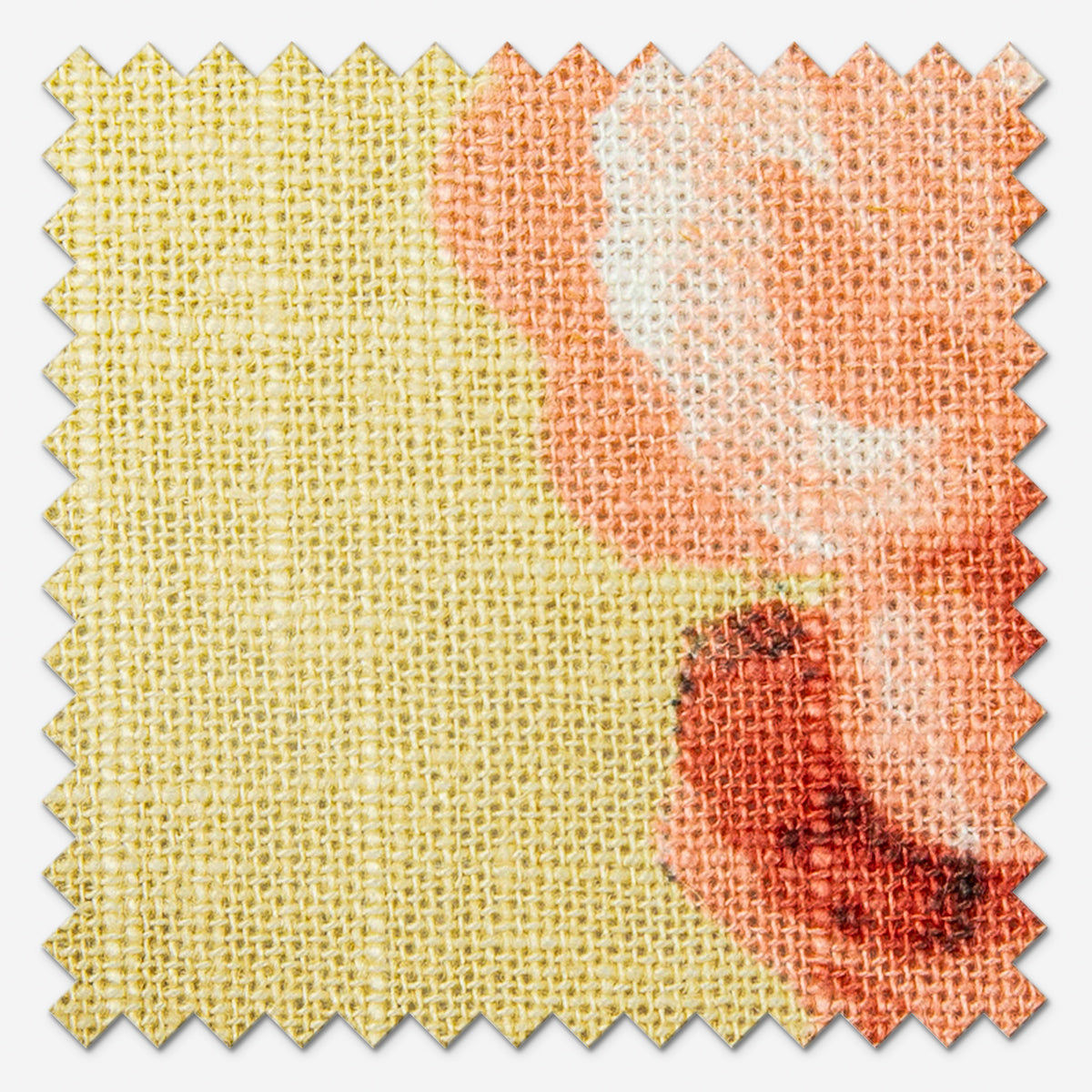 Edinburgh Weavers Abigail Lemon Roman Blind