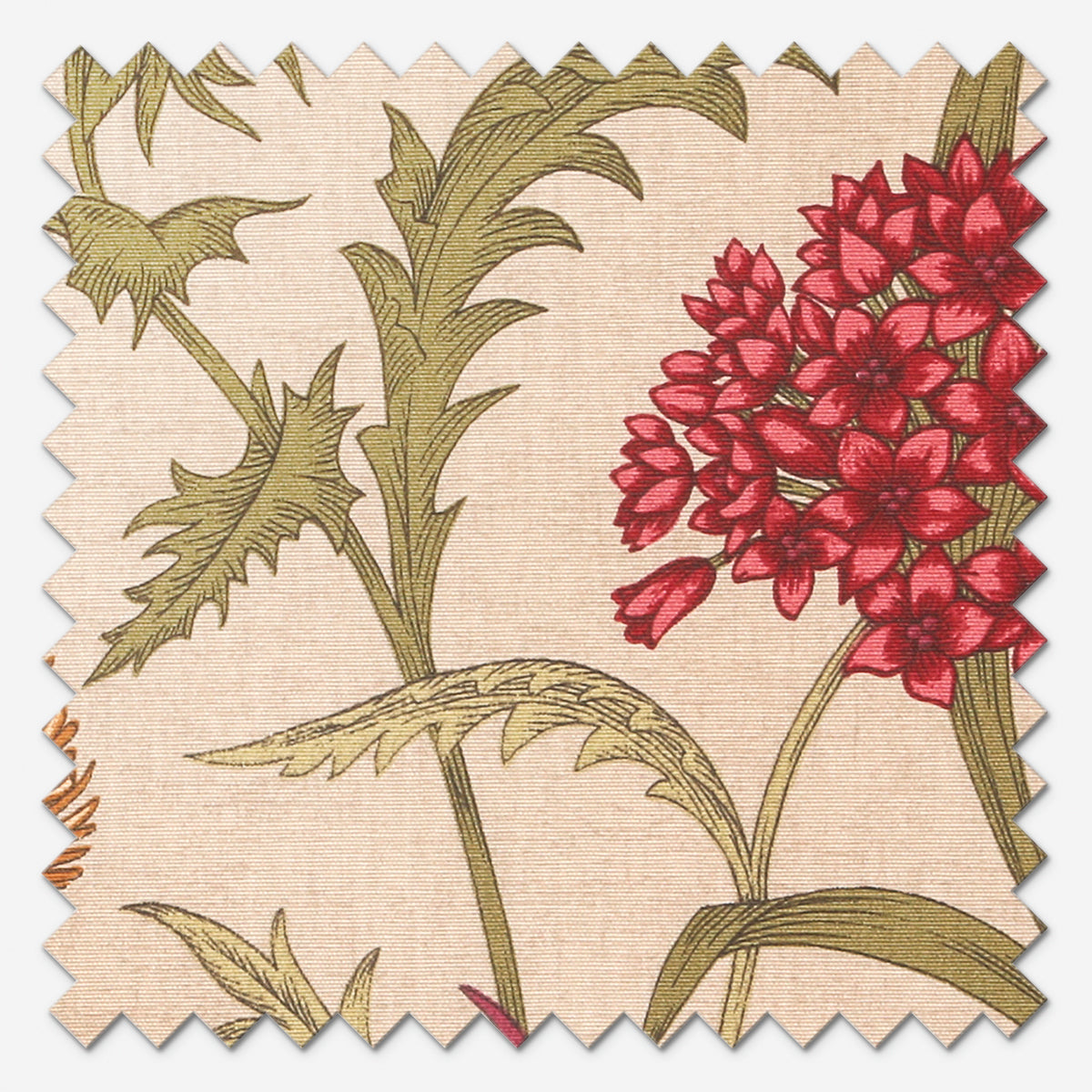 iLiv Acanthium Garnet Roman Blind