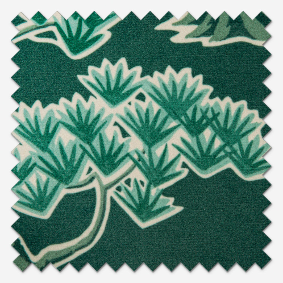 iLiv Midori Evergreen Roman Blind