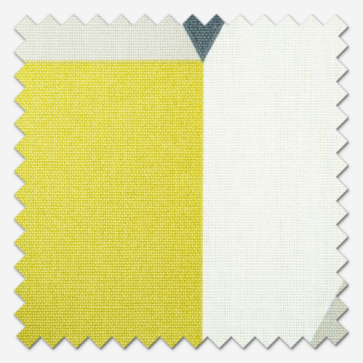 Scion Nuevo Citrus Paprika and Forest Roman Blind