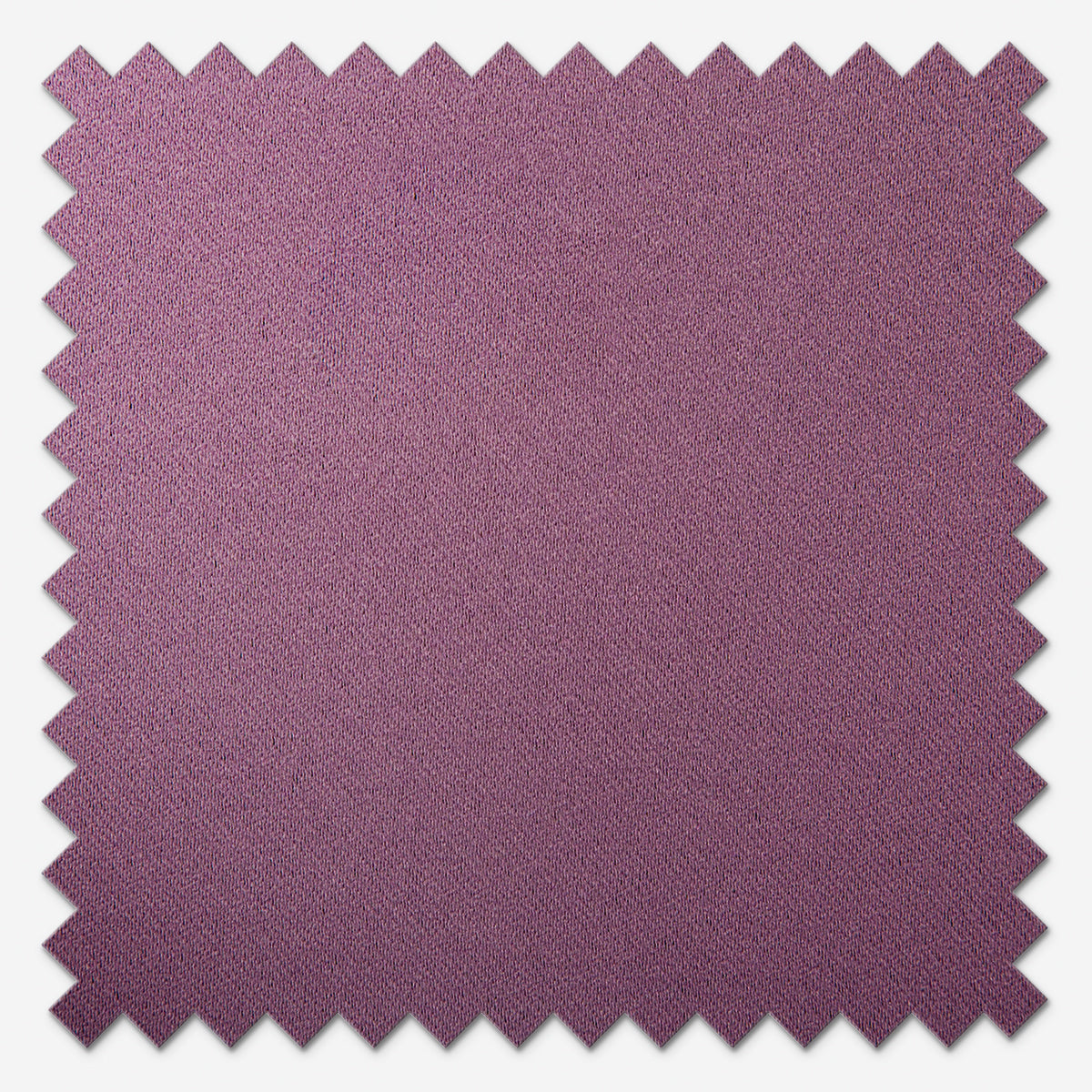 GB Diena Grape Roman Blind