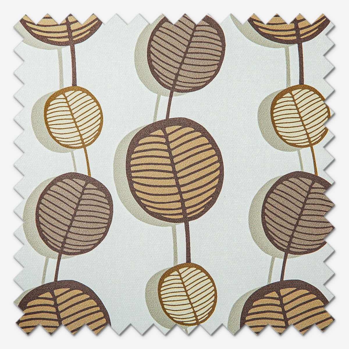 Arena Sonnie Coffee Roller Blind