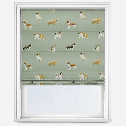 Ashley Wilde Rora Sage Roman Blind