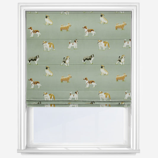 Ashley Wilde Rora Sage Roman Blind