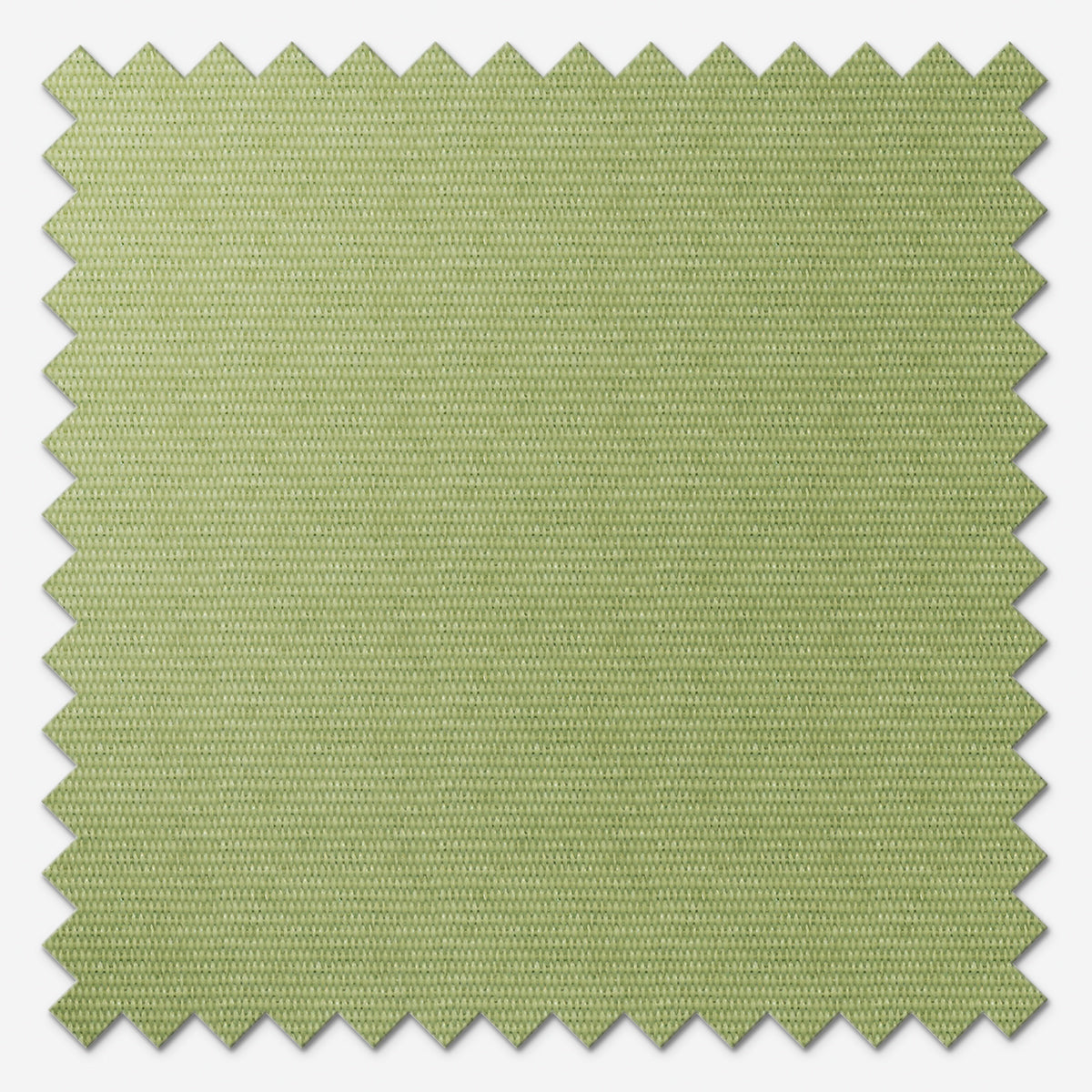 Eclipse Palette Green Roller Blind