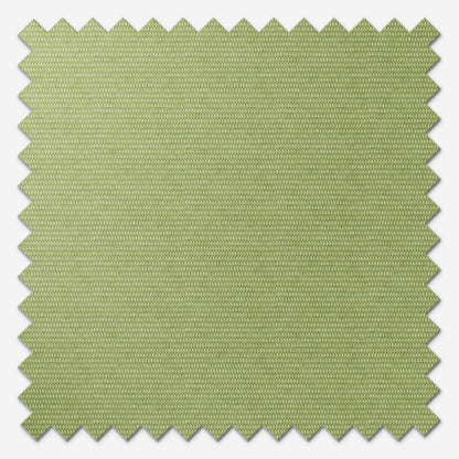 Eclipse Palette Green Roller Blind
