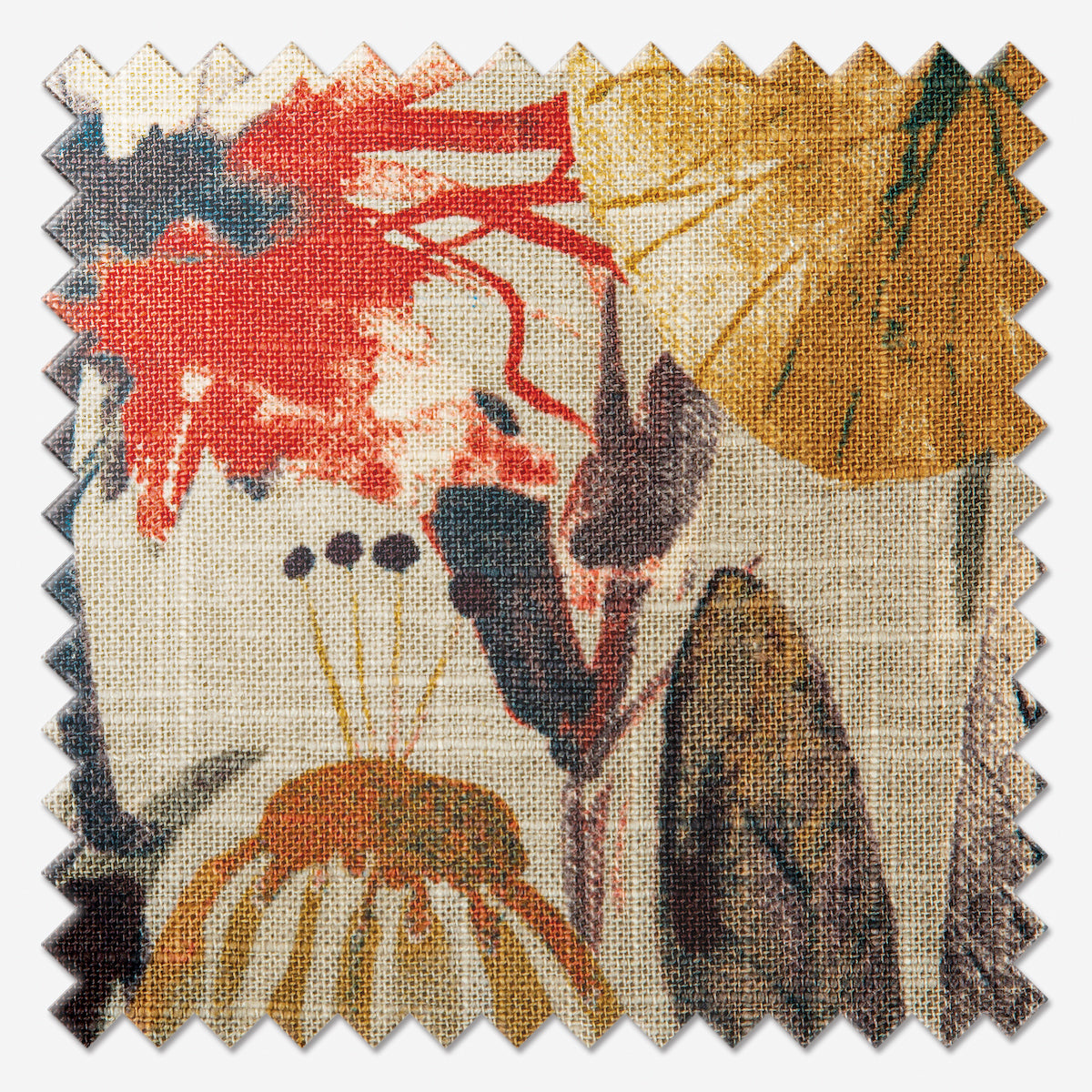 Edinburgh Weavers Zebedee Toffee Roman Blind