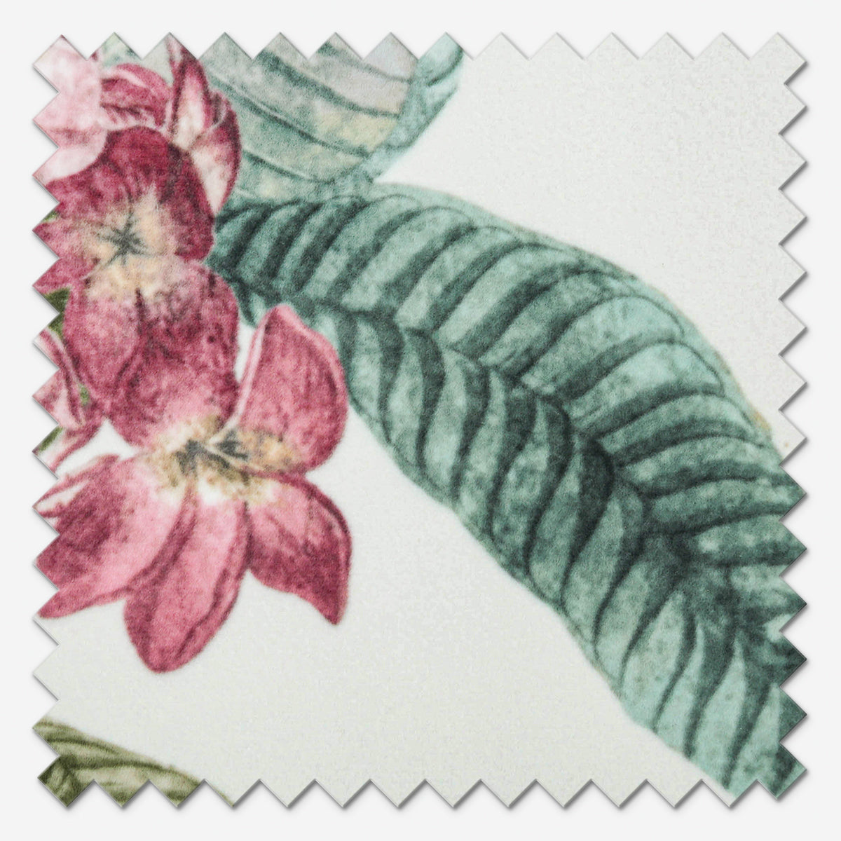 iLiv Botanical Garden Aegean Roman Blind