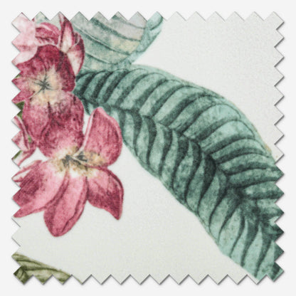 iLiv Botanical Garden Aegean Roman Blind