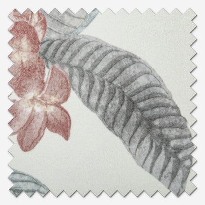 iLiv Botanical Garden Rosedust Roman Blind