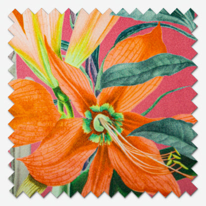 Prestigious Textiles Barbados Watermelon Roman Blind