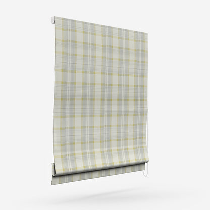 Prestigious Textiles Munro Chartreuse Roman Blind