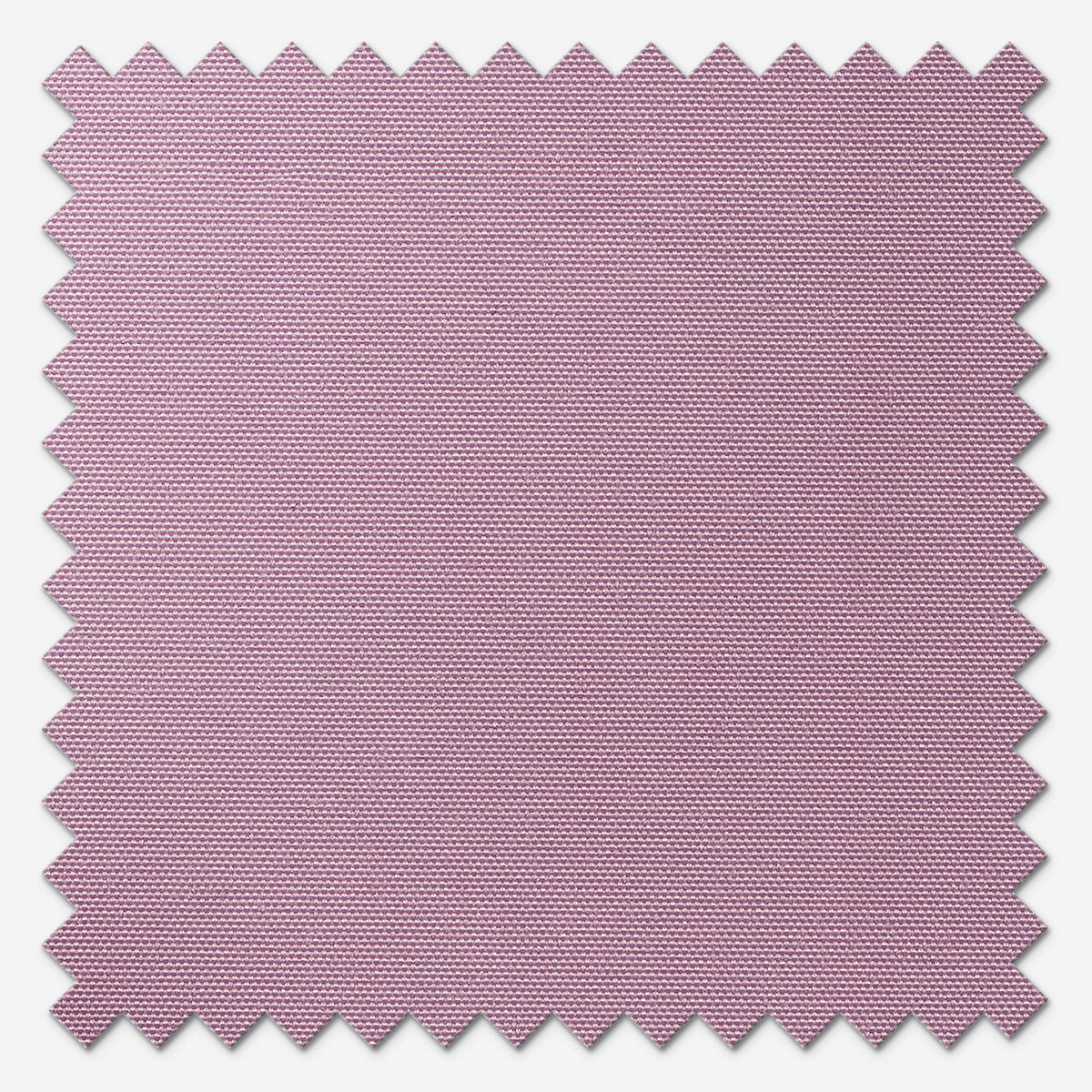 GB Elements Dimout Wisteria Roller Blind